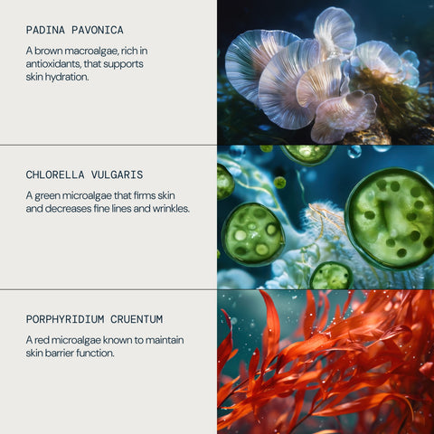 Pro-Collagen Marine Cream SPF 30