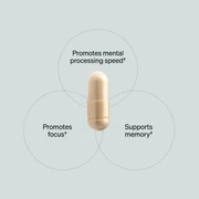 Alpha BRAIN support memory, focus & mental health